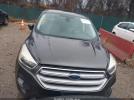 Ford Escape Se Image 11