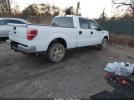 Ford F-150 Xlt Image 12