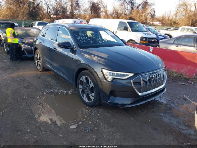 Audi e-tron Premium Quattro Image 1