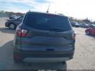 Ford Escape Titanium Image 13