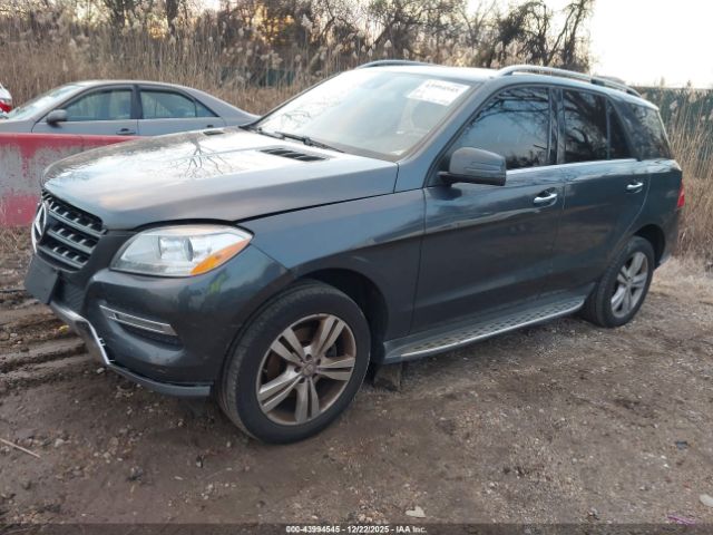 Mercedes-Benz M-Class Image 3