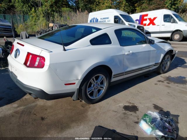 Ford Mustang V6 Image 11