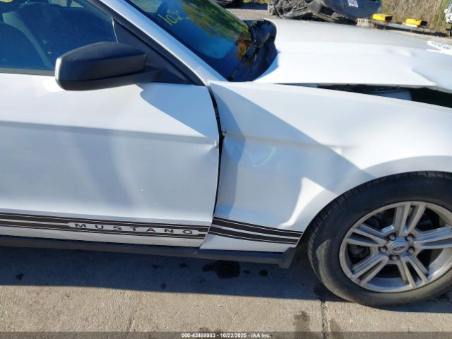 Ford Mustang V6 Image 2