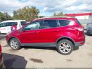 Ford Escape Titanium Image 17