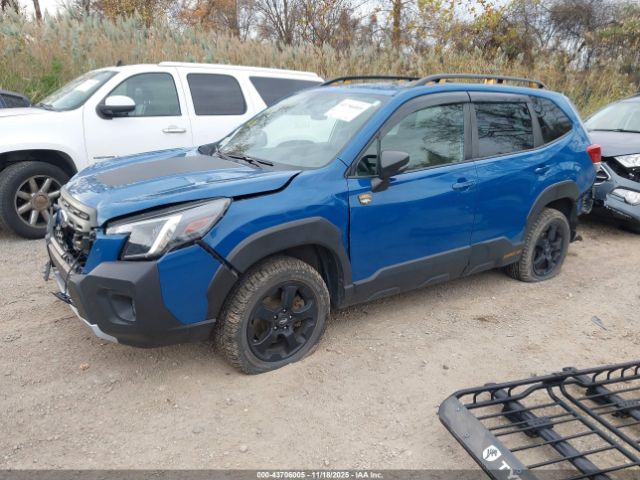 Subaru Forester Wilderness Image 8