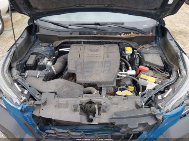 Subaru Forester Wilderness Image 20