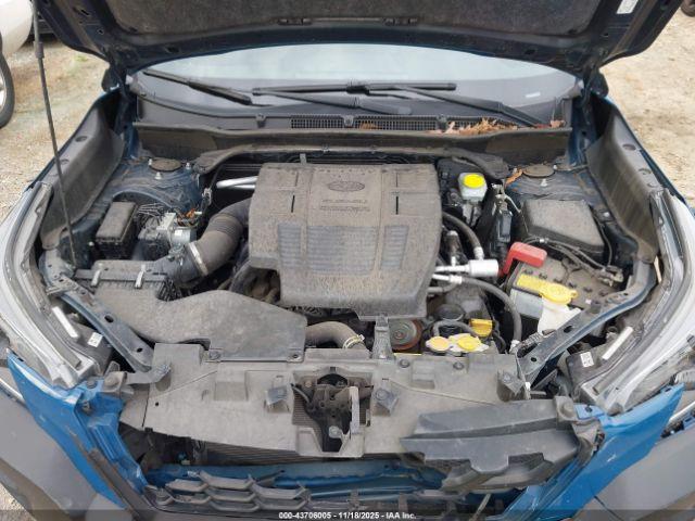 Subaru Forester Wilderness Image 20