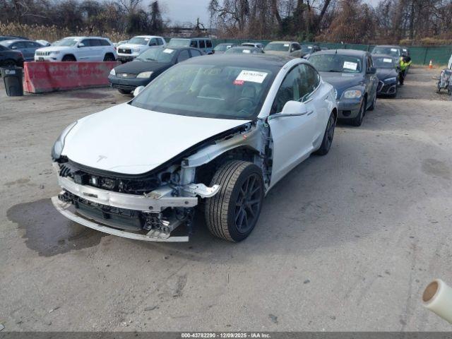 Tesla Model 3 Image 4