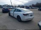 Tesla Model 3 Image 17