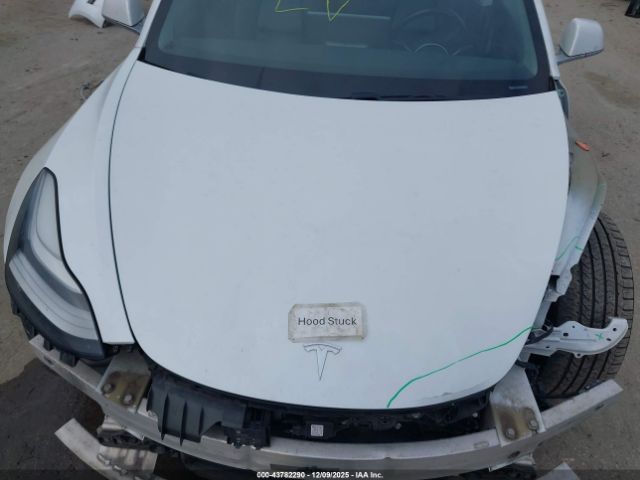 Tesla Model 3 Image 18