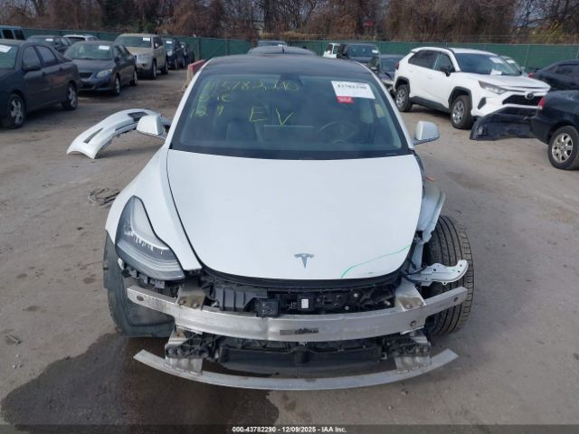Tesla Model 3 Image 13