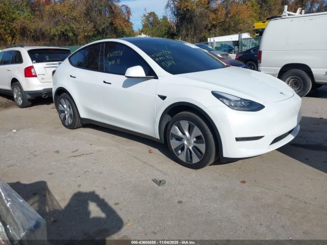Tesla Model Y Image 1
