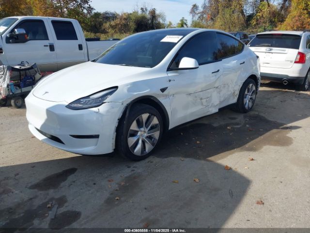Tesla Model Y Image 10