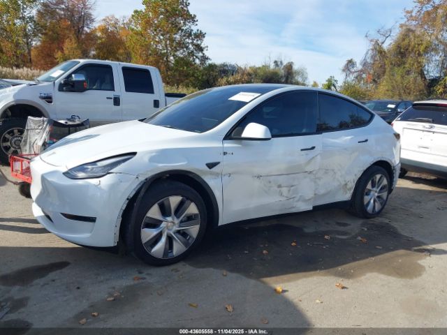Tesla Model Y Image 17
