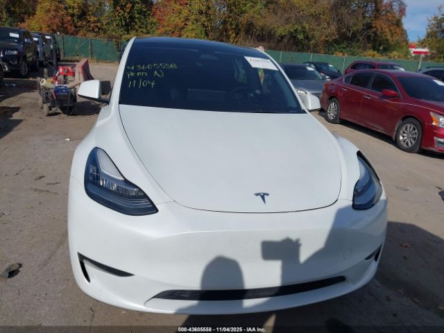 Tesla Model Y Image 13