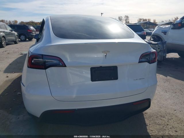 Tesla Model Y Image 5