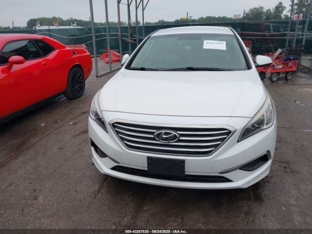 Hyundai SONATA Eco Image 13