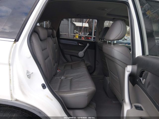 Honda CR-V Ex-l Image 6