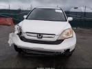 Honda CR-V Ex-l Image 12