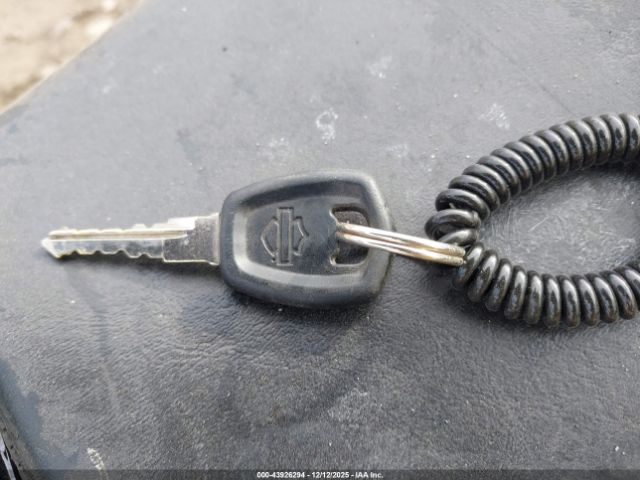 Harley-Davidson Xg500 Image 3