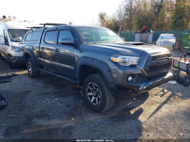 Toyota Tacoma Trd Sport Image 1