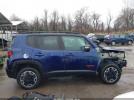 Jeep Renegade Trailhawk Image 12