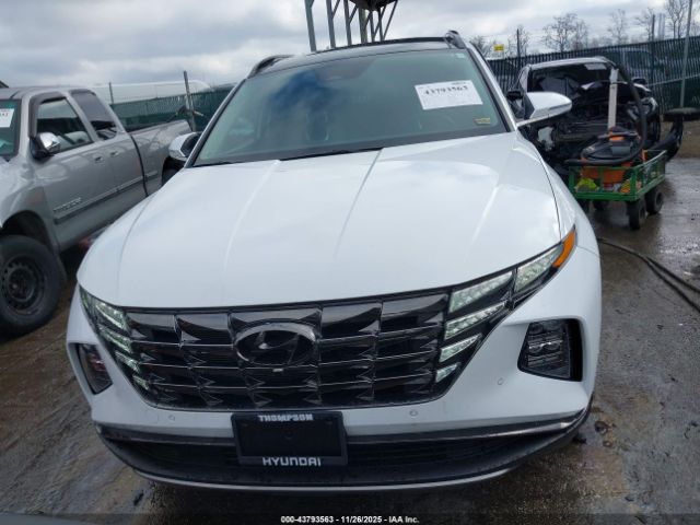 Hyundai TUCSON Limited Image 3