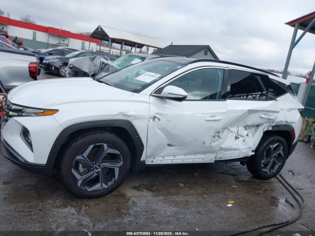 Hyundai TUCSON Limited Image 6