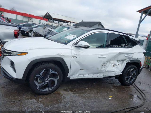 Hyundai TUCSON Limited Image 6