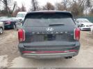 Hyundai PALISADE Limited Image 15
