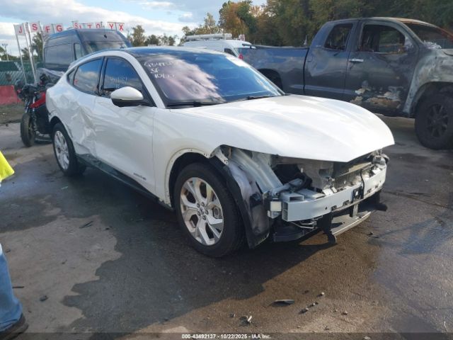 Ford Mustang Premium Image 1