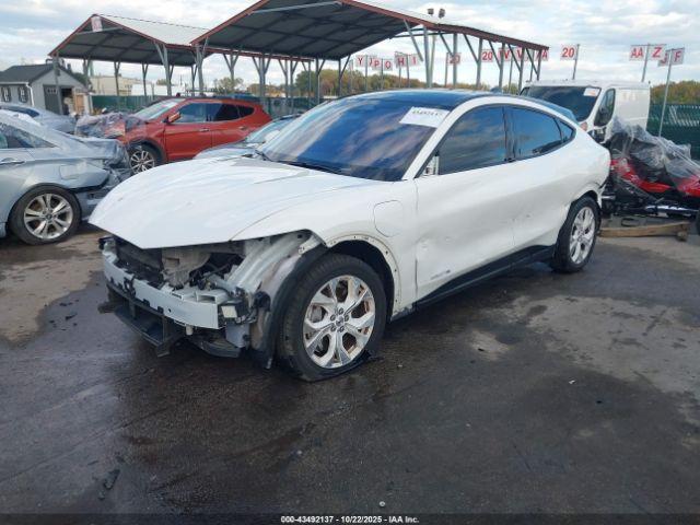 Ford Mustang Premium Image 3