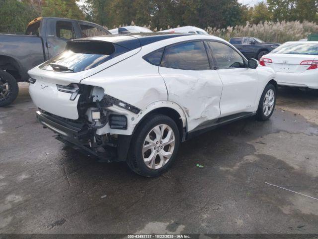 Ford Mustang Premium Image 6