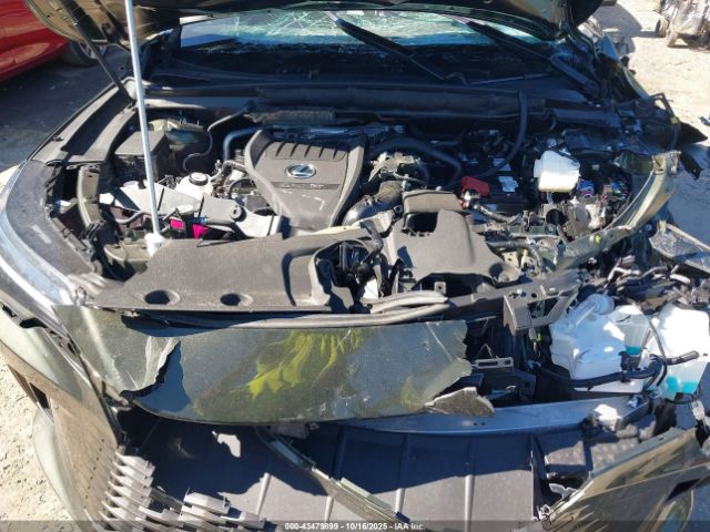 Lexus RX Premium Image 11