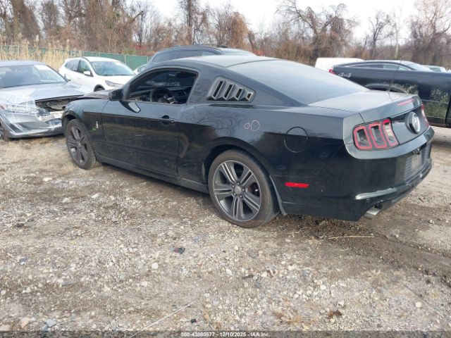 Ford Mustang V6 Image 7