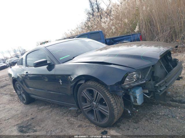Ford Mustang V6 Image 15